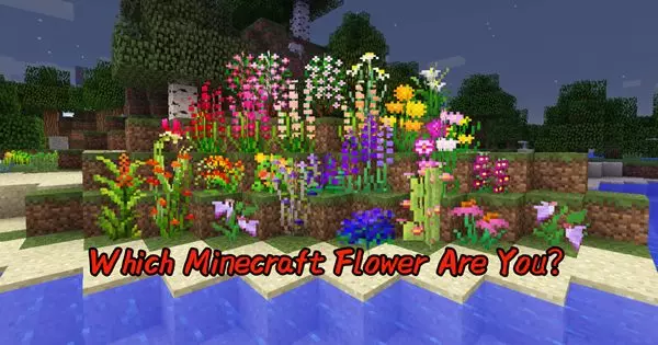 Which Minecraft Flower Are You?