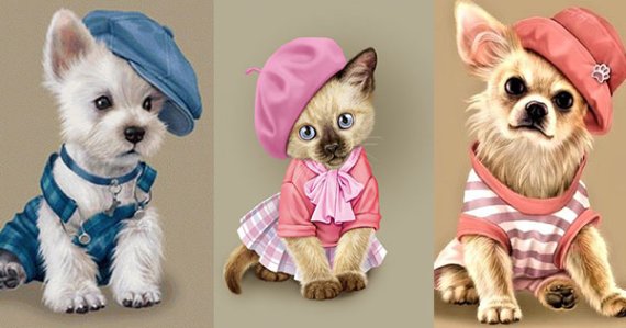 Todos nós representamos uma cor de animal. O que a cor do seu espírito animal diz sobre você? Faça o teste agora!