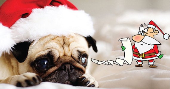 Christmas holiday is coming, Take the quiz to find out what will you ask Santa for!