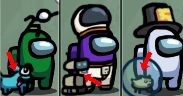 It's Time To Find Out Which Among Us Pet You Should Have