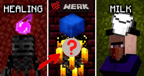 We Know Your Biggest Weakness Based On The Minecraft Mob You Pick!